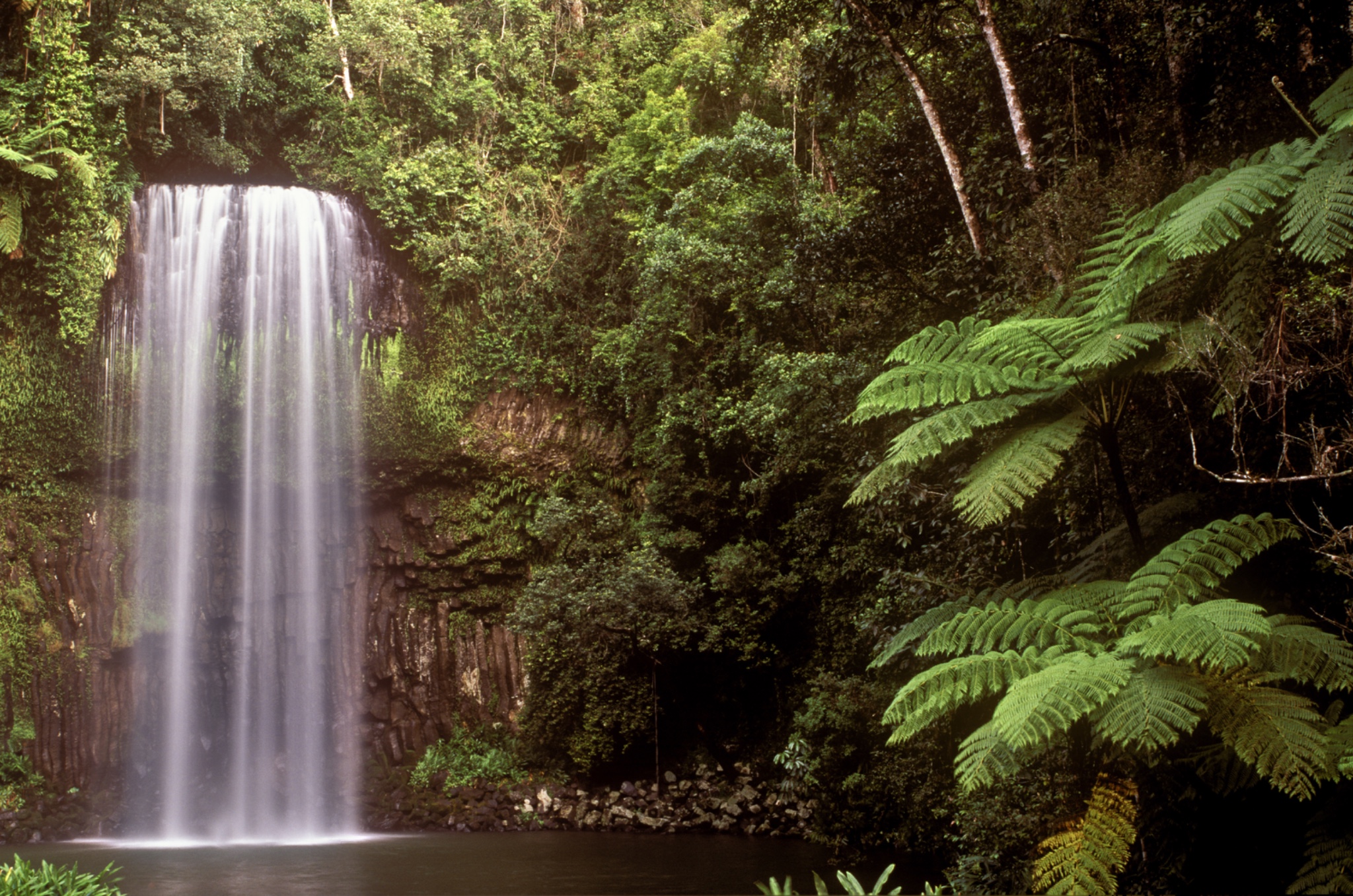 AUSTRALIAQueenslandMillaaMillaaFalls.Thefamouswaterfallandworldheritagerainforest