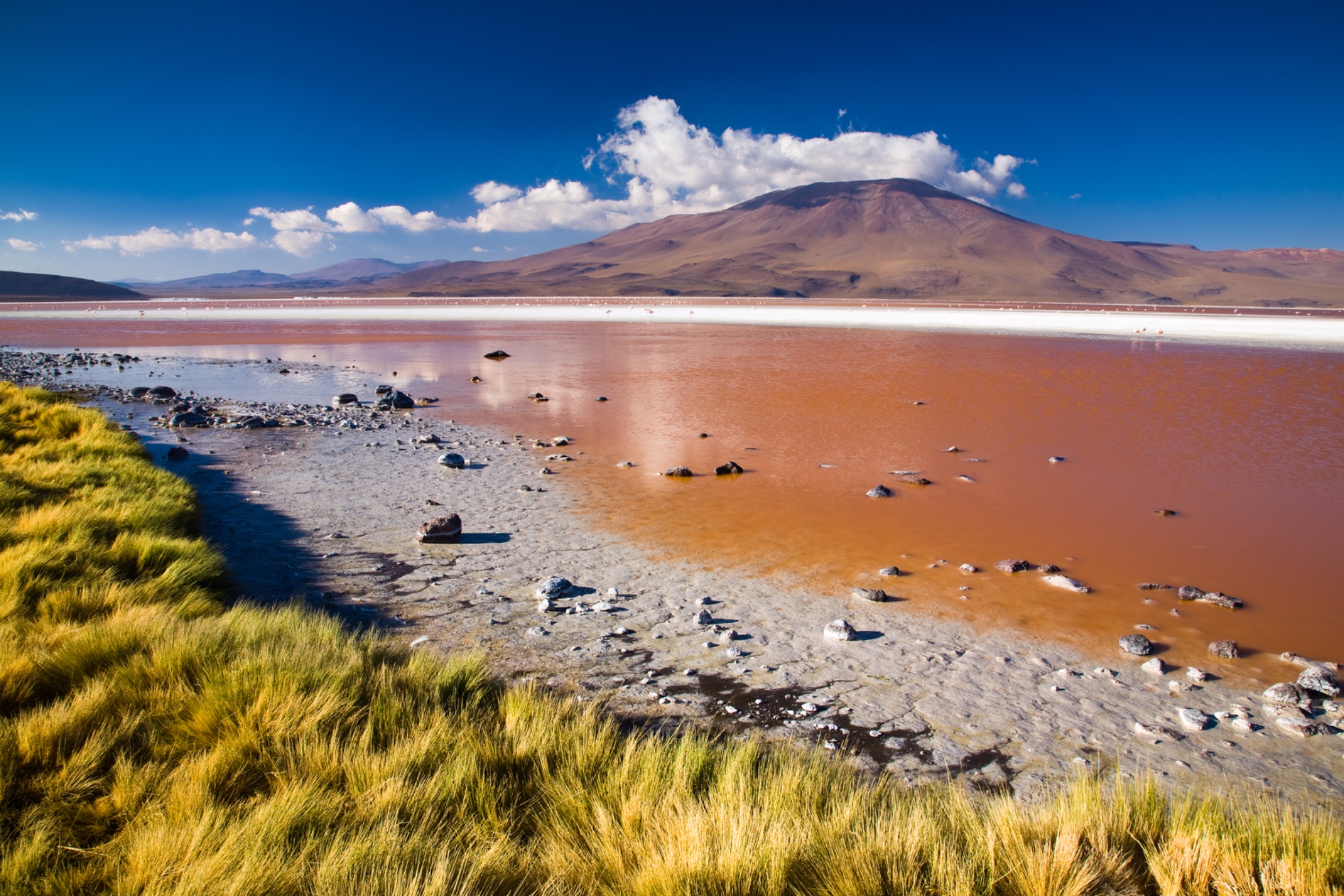 Bolivia, Southern Altiplano, Laguna Colorada.