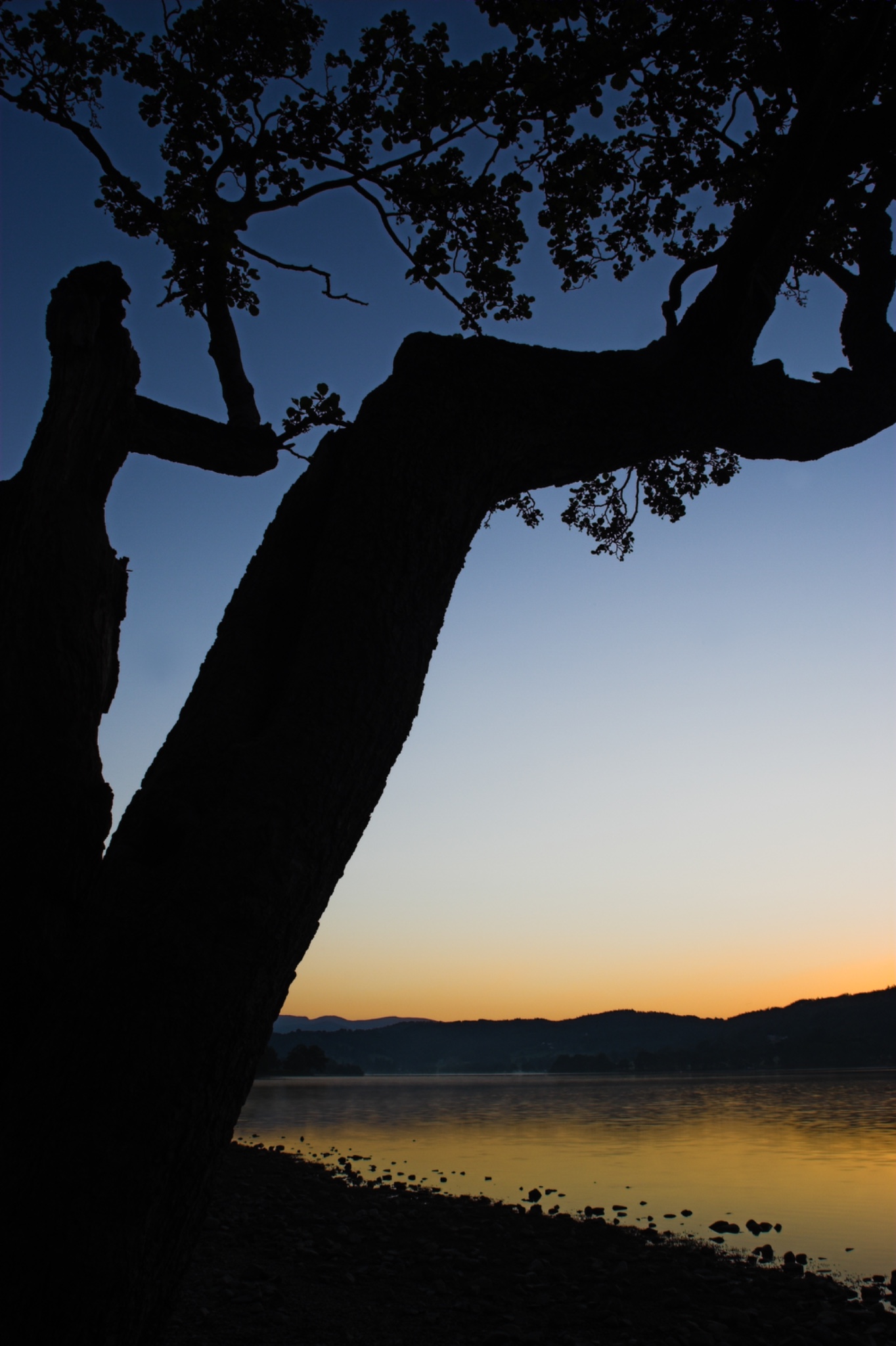 EnglandCumbriaLakeDistrictDawnlookingacrossthestillwatersofConistonWaterwithintheLakeDistrictNationalPark