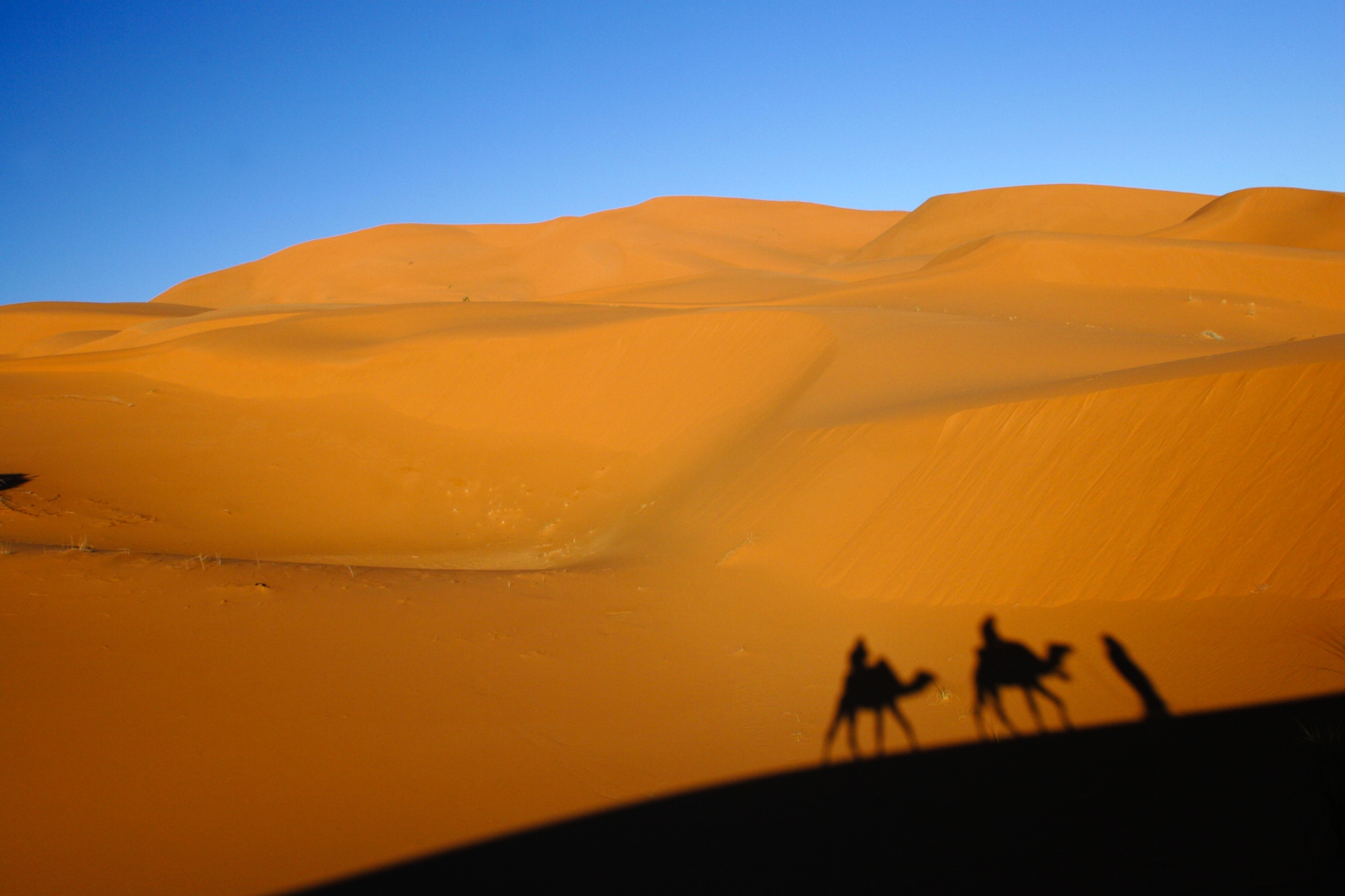 MoroccoCentralMoroccoMerzouga.CamelstouristsandguidesshadowsarecastonthedunesoftheErgChebbiintheSaharaDesert