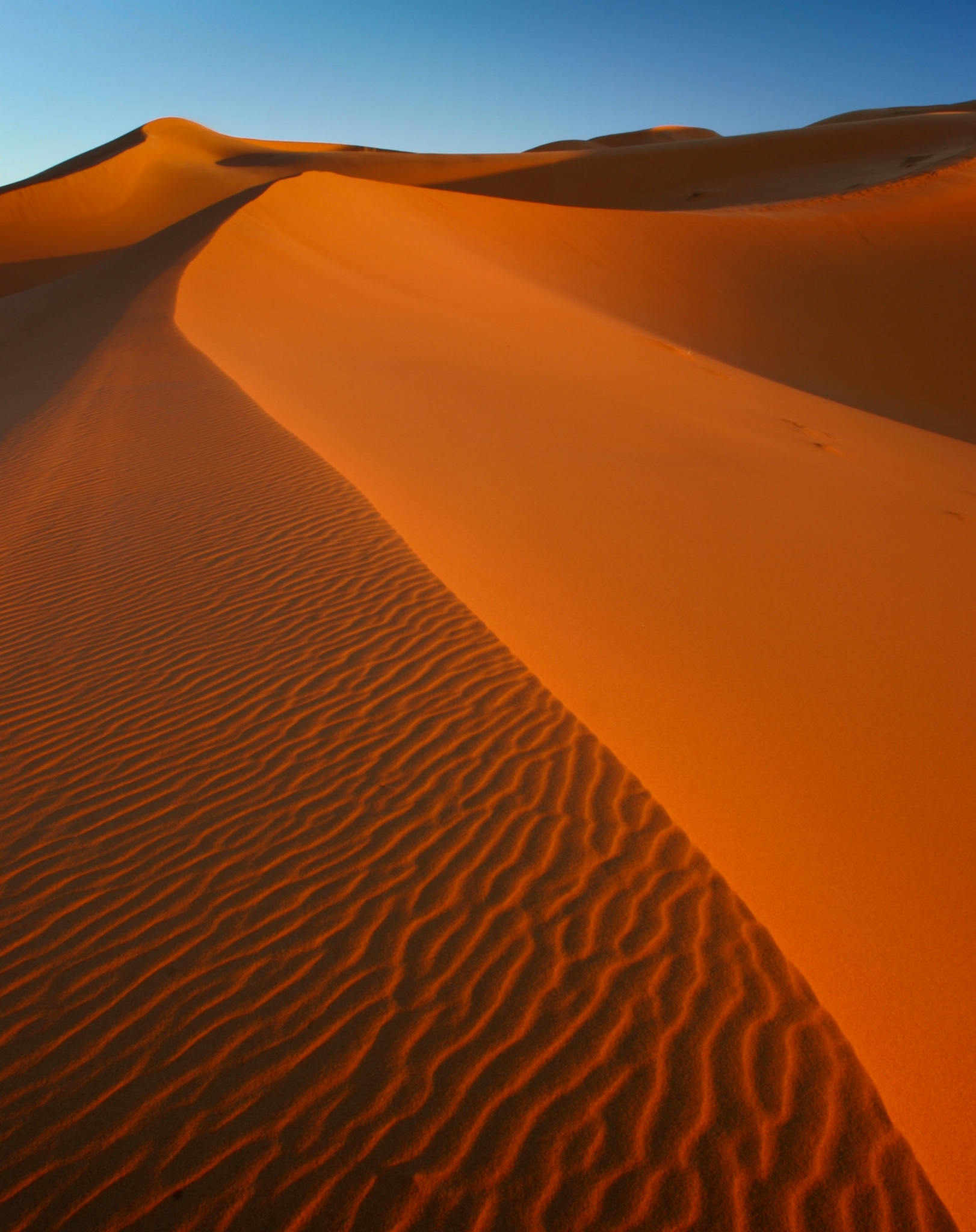 MoroccoCentralMoroccoMerzouga.TheundulatingshapesofthedunesoftheErgChebbipartoftheSaharadesert