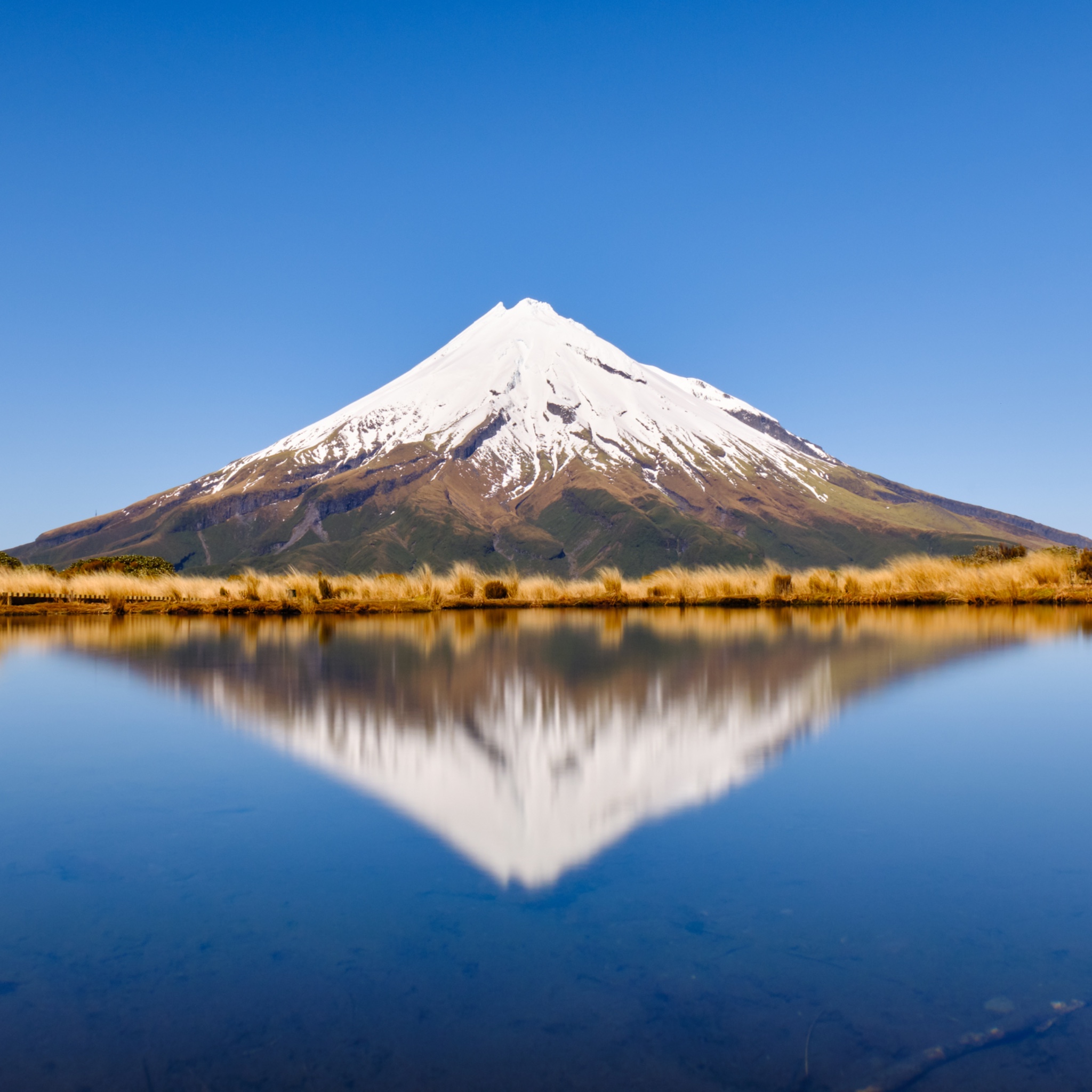New Zealand, North Island, Egmont National Park.