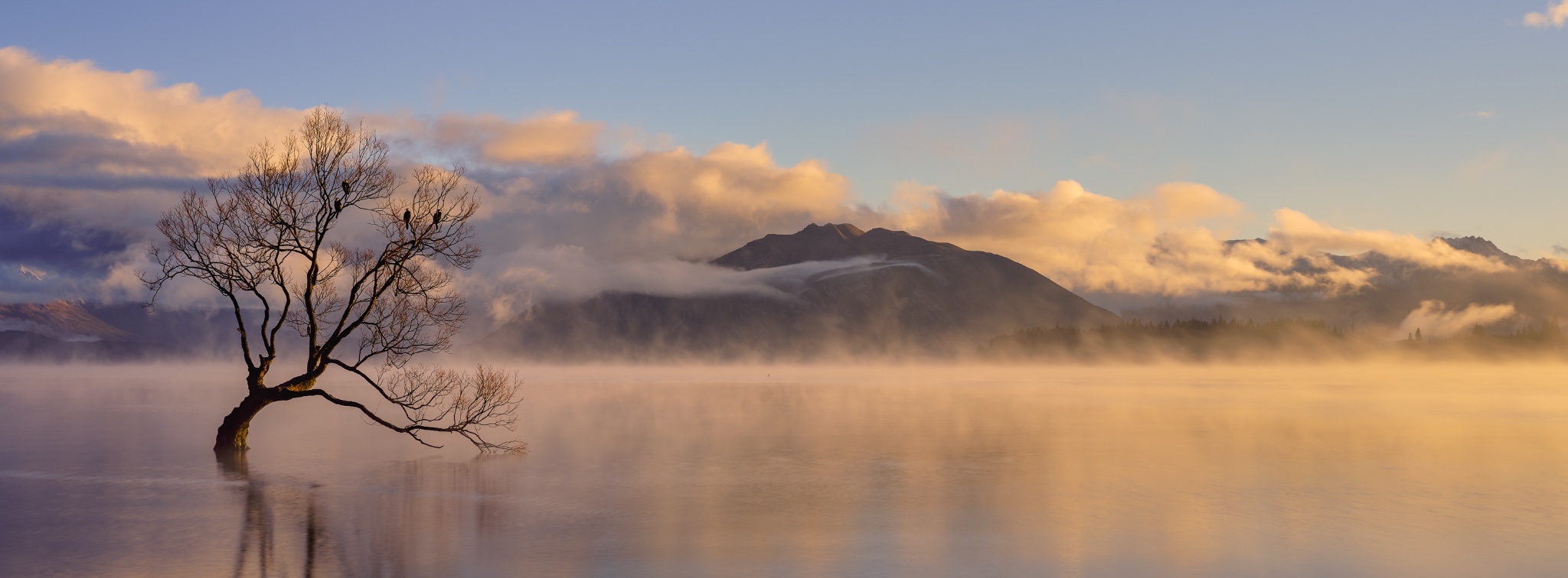 New Zealand, Otago, Lake Wanaka.