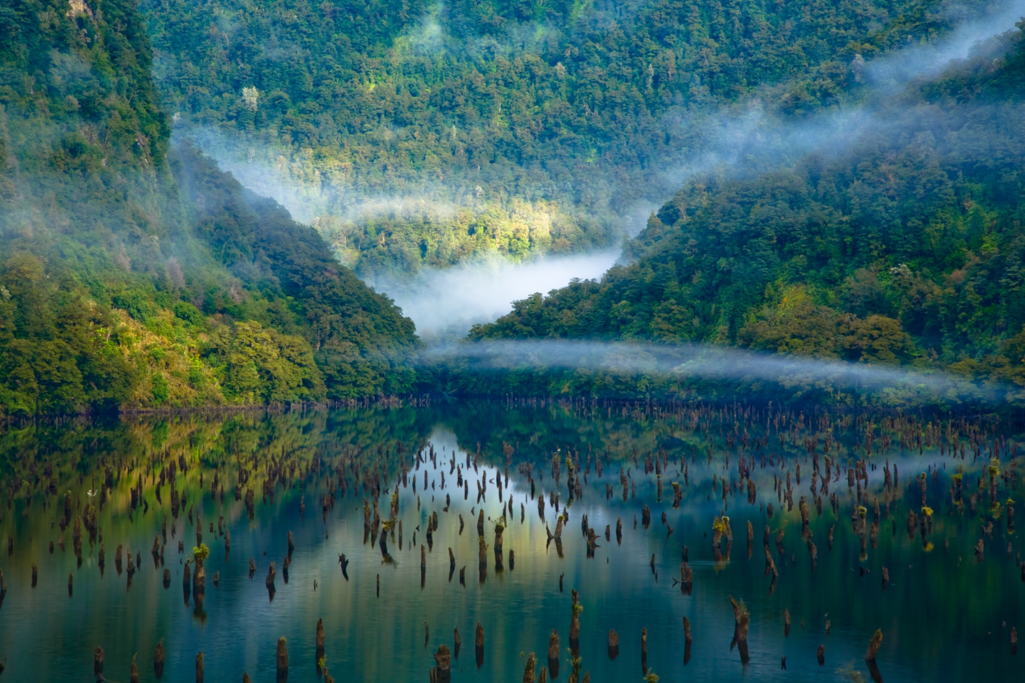 New Zealand, Southland, Fiordland National Park.