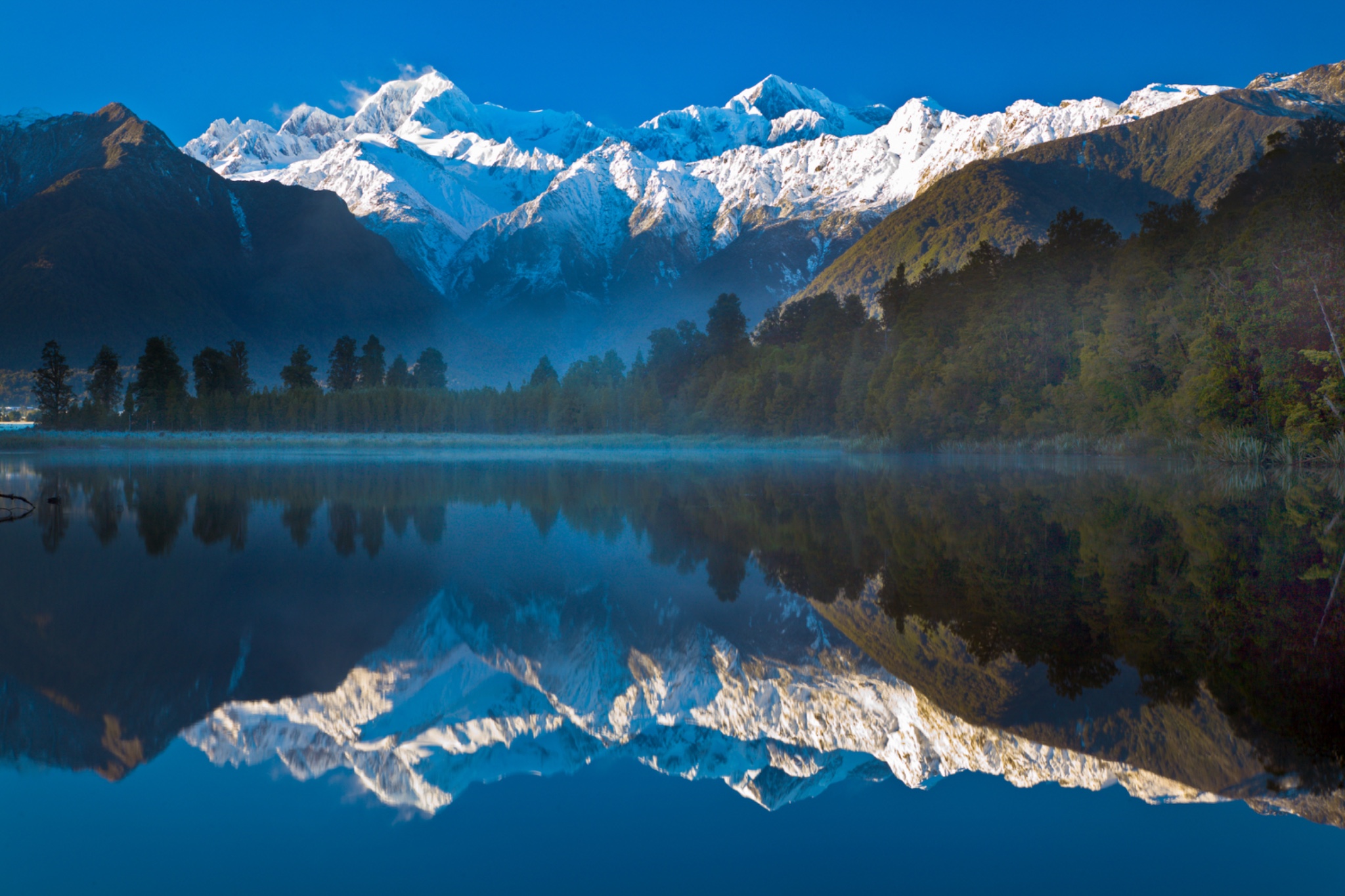 New Zealand, Westland, Westland National Park.