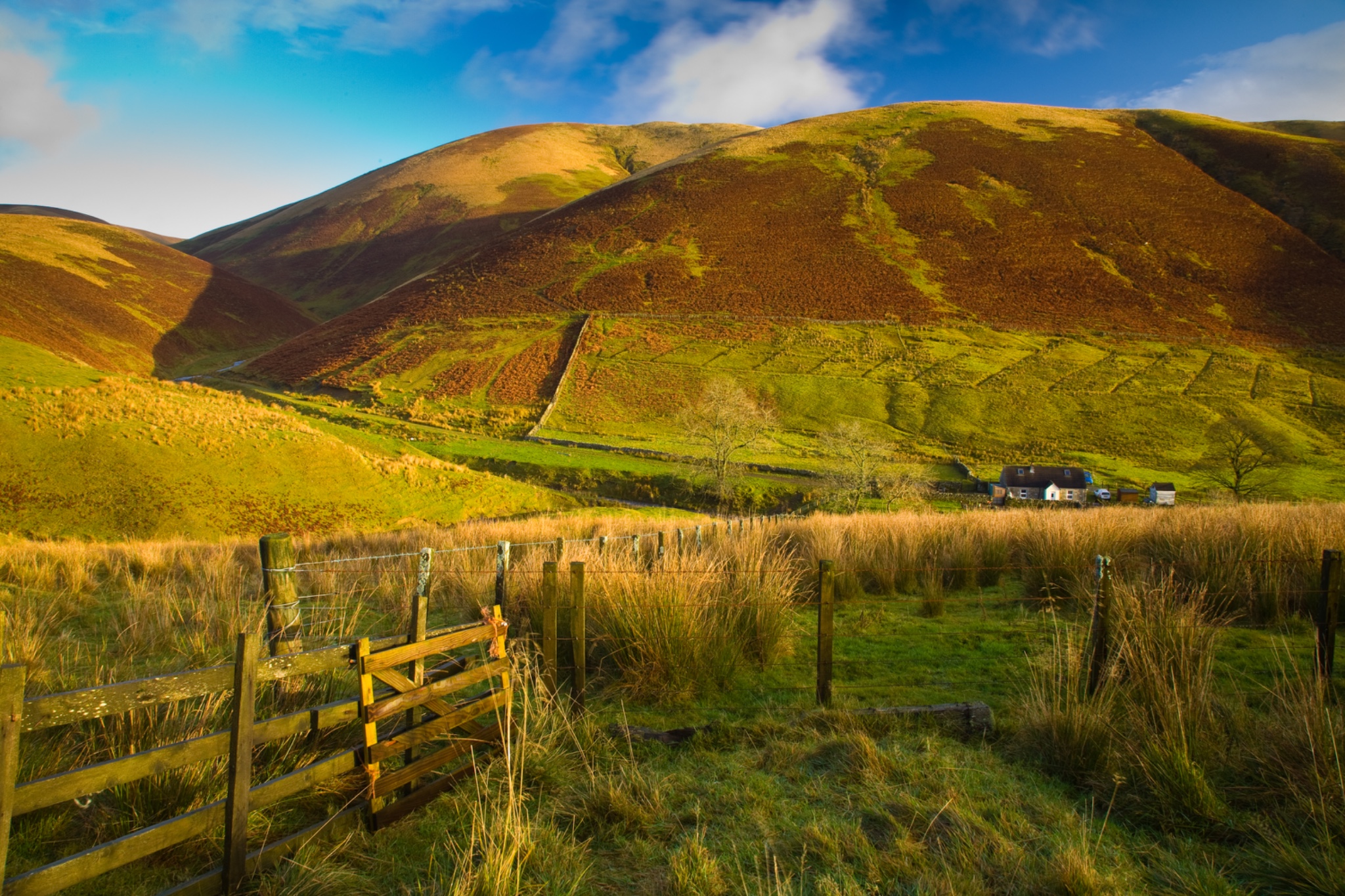 Scotland, Scottish Borders, Liddesdale.