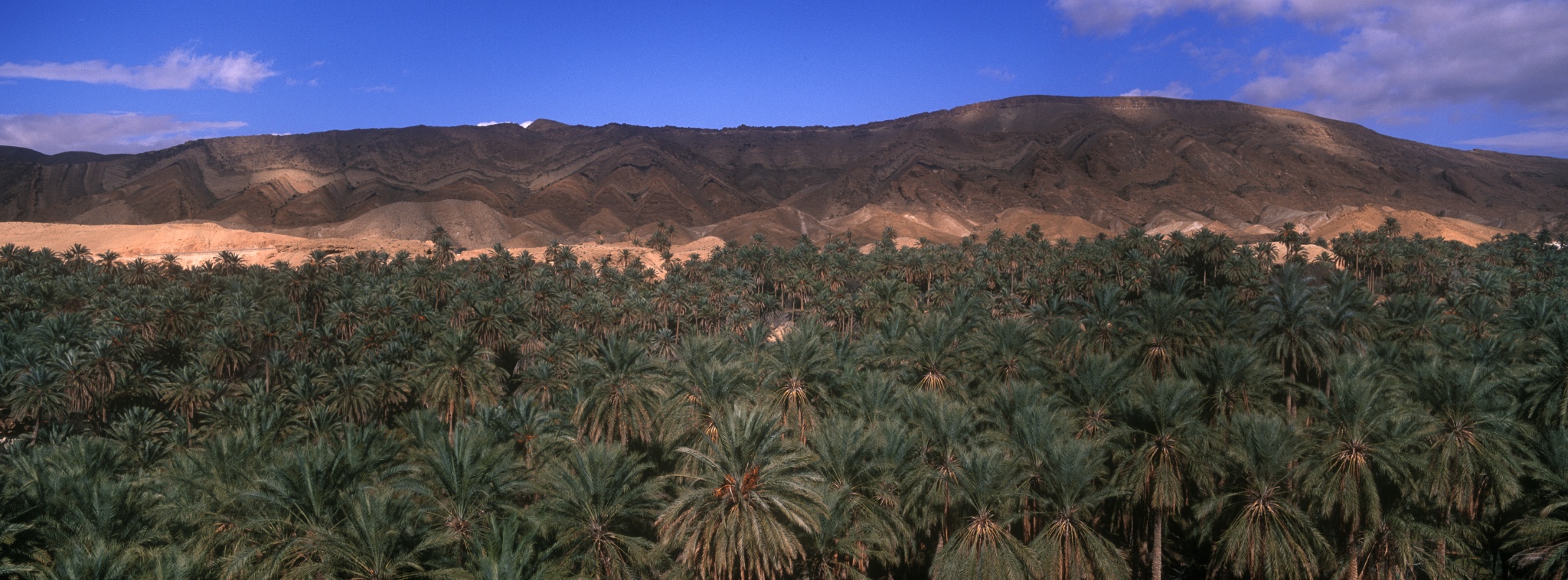 TUNISIAChebikaRegionTamerza.Anoasishidwithinthemountainouslandscapesurroundingthetown