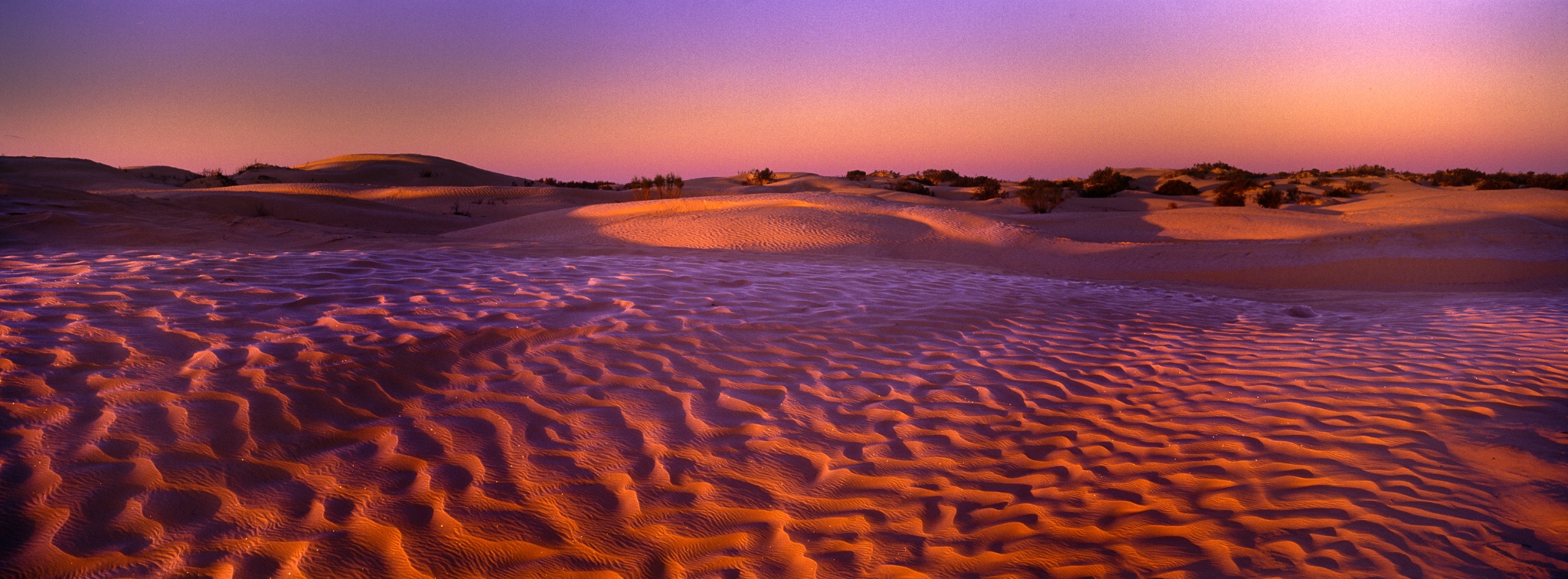 TUNISIAZaafraneSaharaDesert.Morninglightilluminatesthefrostcoveredpatternsofthesanddunesofthegreatergoriental
