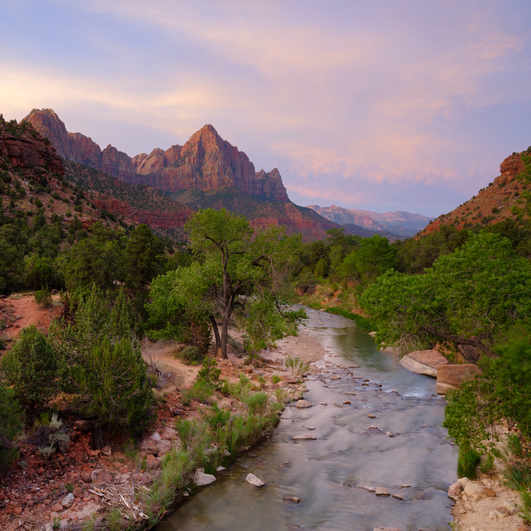 United States of America, Utah, Zion National Park.
