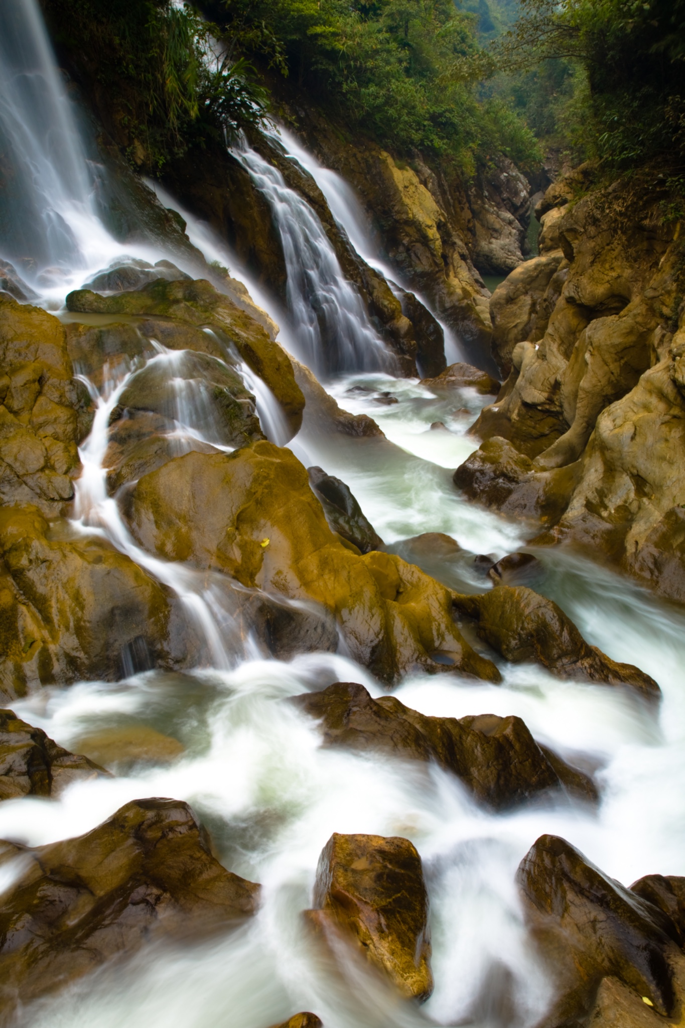Vietnam, Northern Vietnam, Sapa.