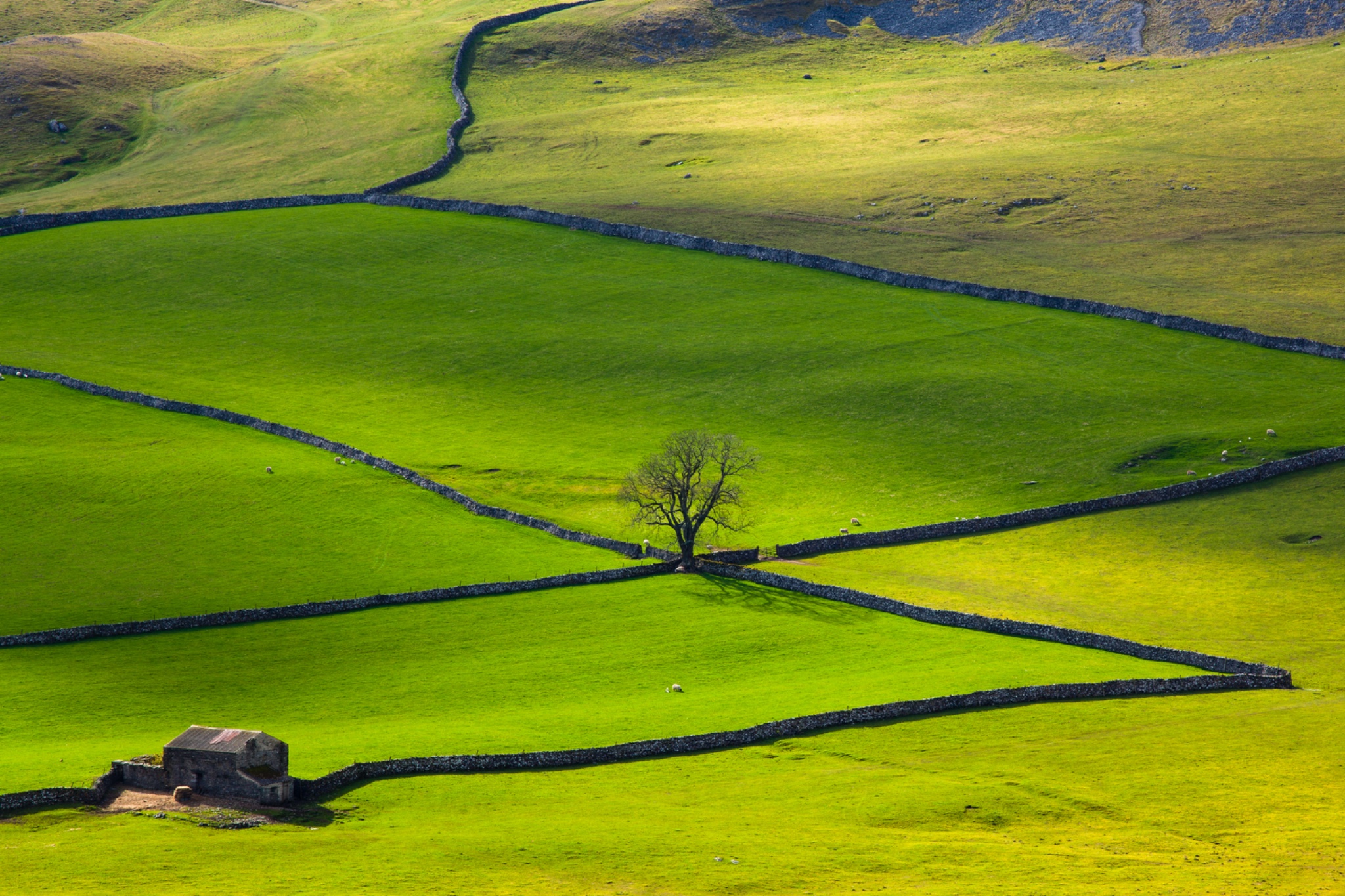 England, North Yorkshire, Yorkshire Dales National Park.