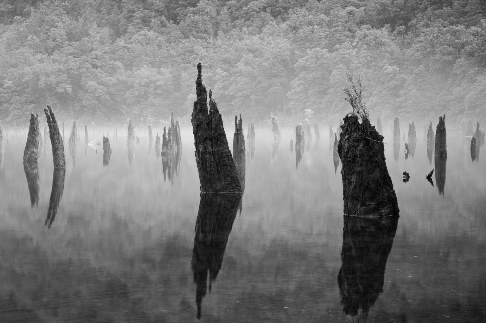 Loch Flood