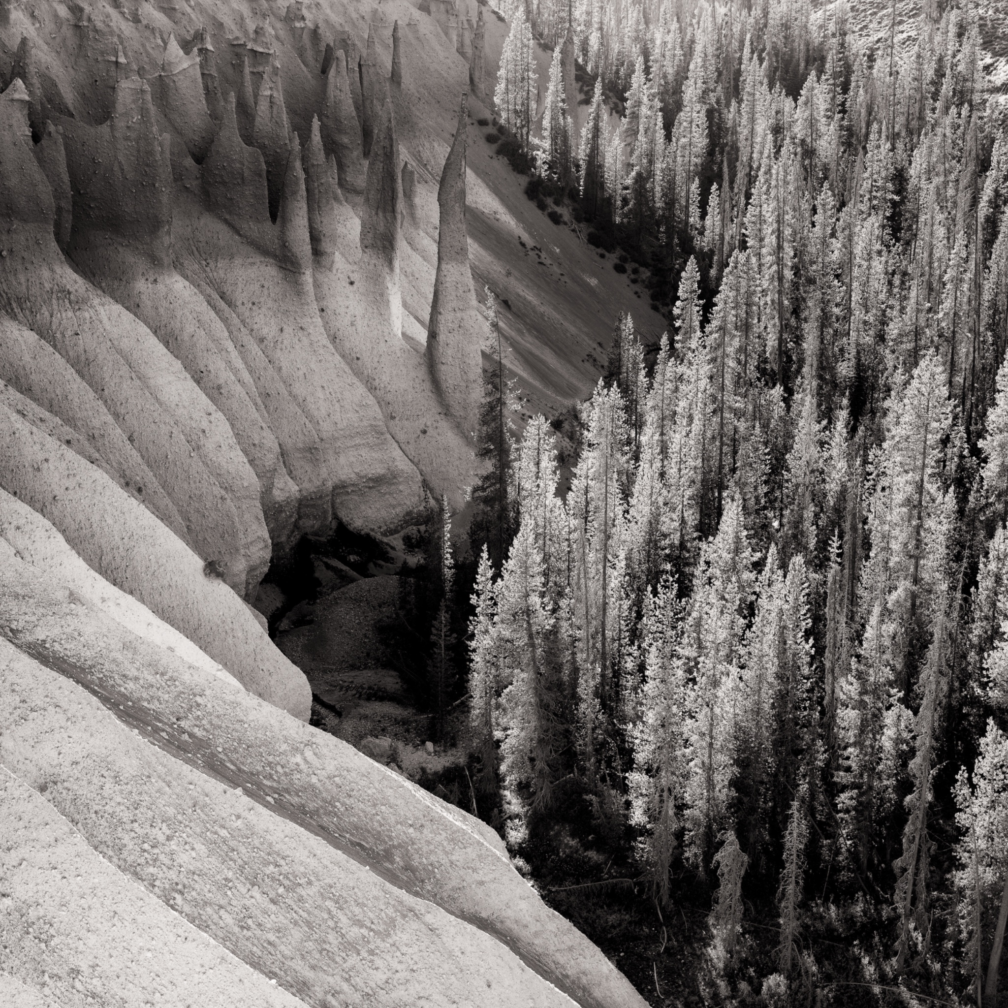 United States of America, Oregon, Crater Lake National Park.