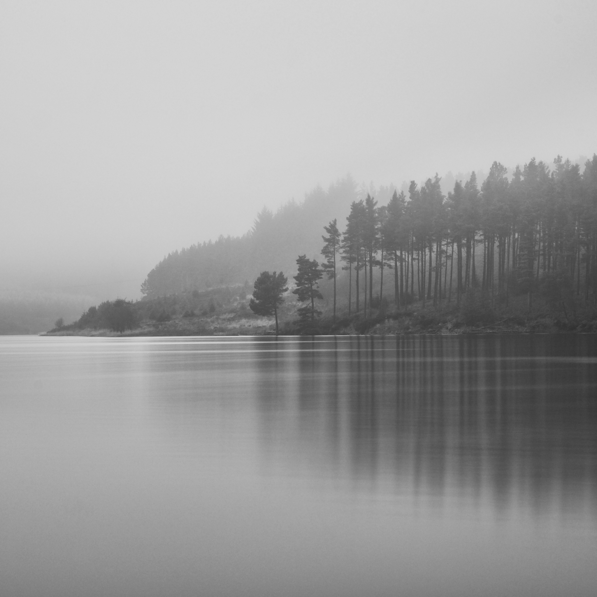 England, Northumberland, Kielder Water & Forest Park.