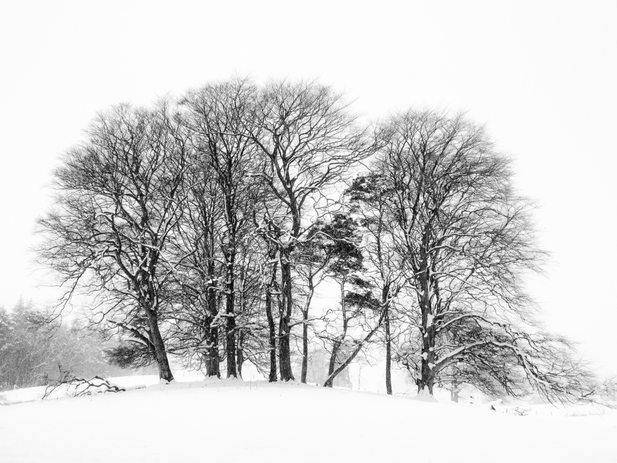 England, Northumberland, Tynedale.