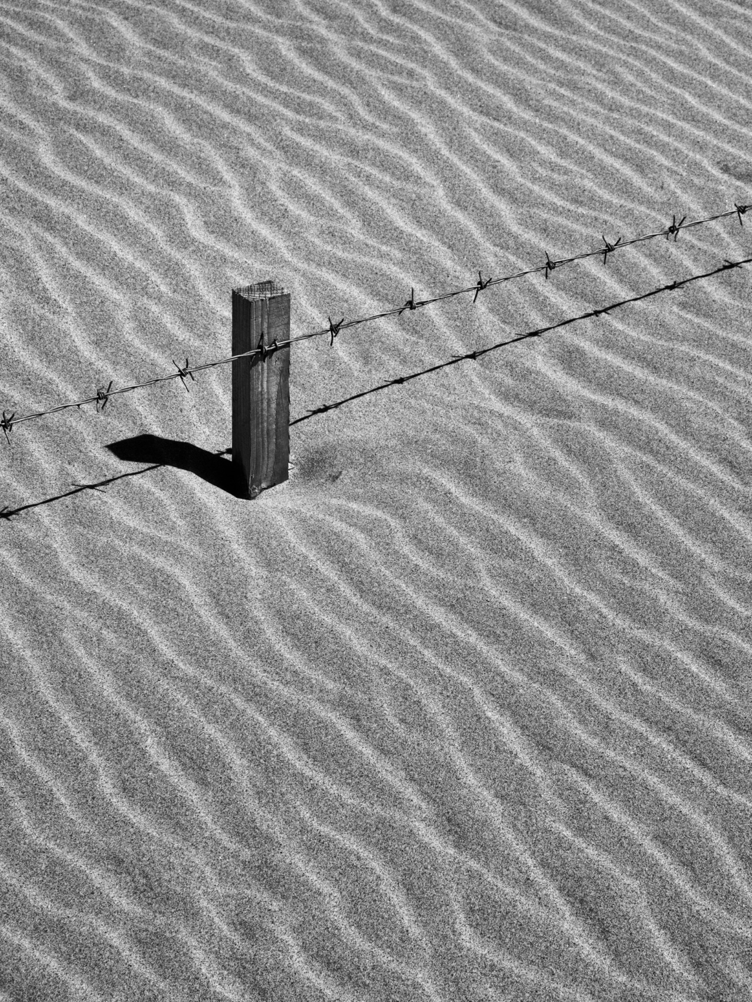 England, Northumberland, Ross Sands.