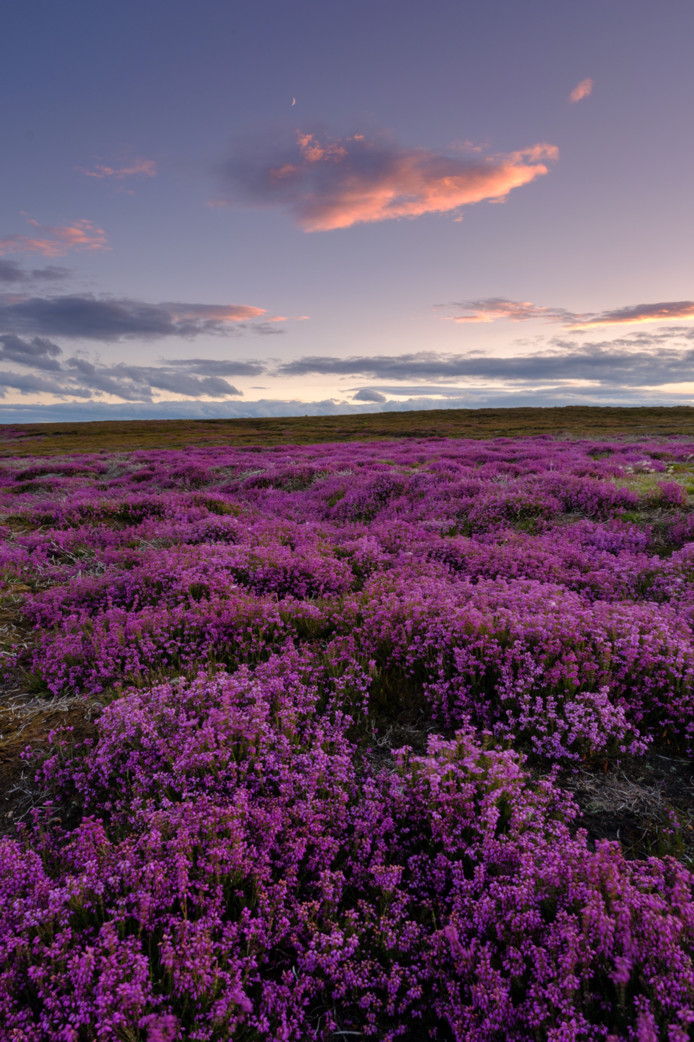 England, North Yorkshire, North York Moors National Park.