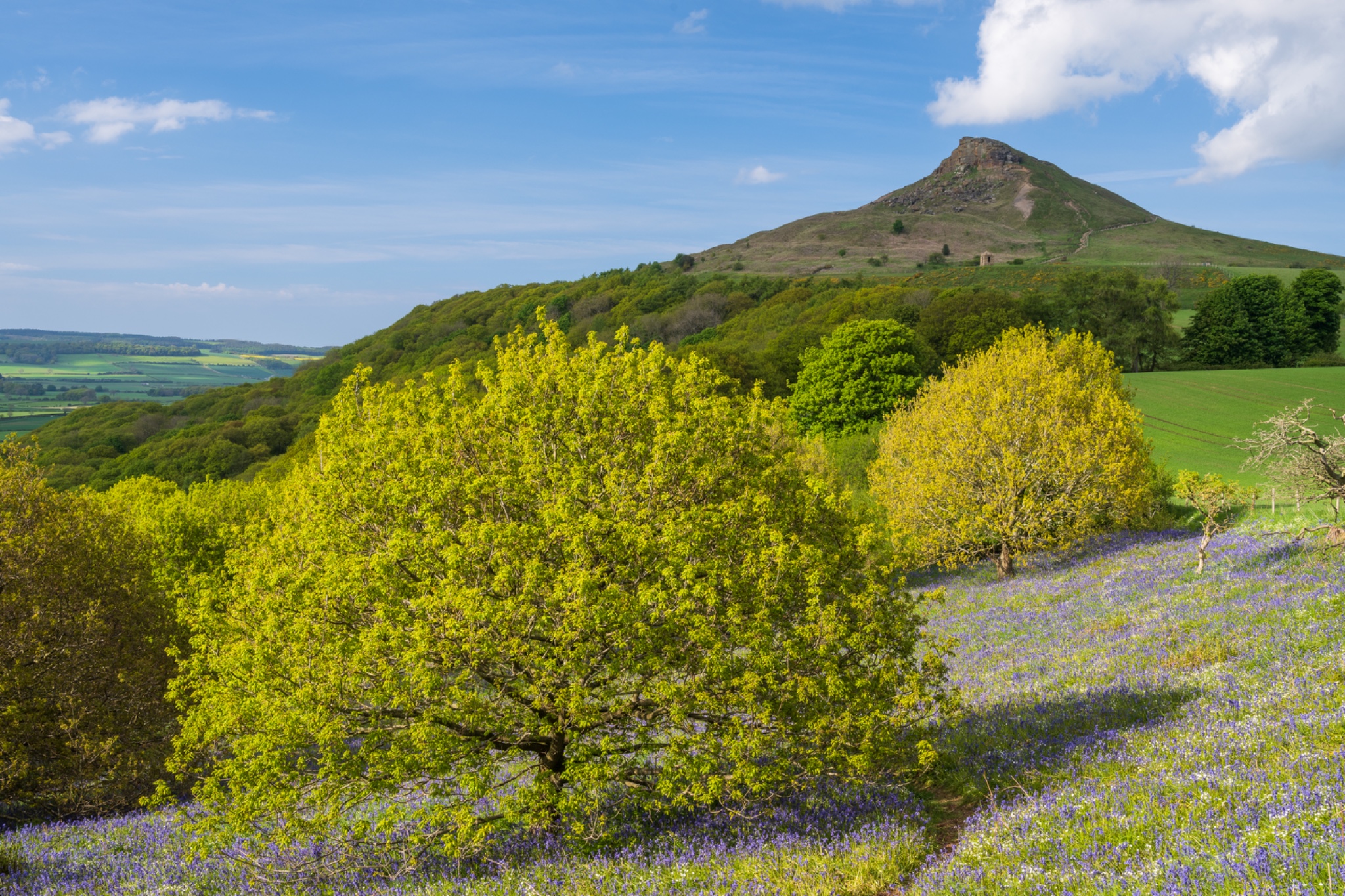 Yorkshire Dales Coast 14