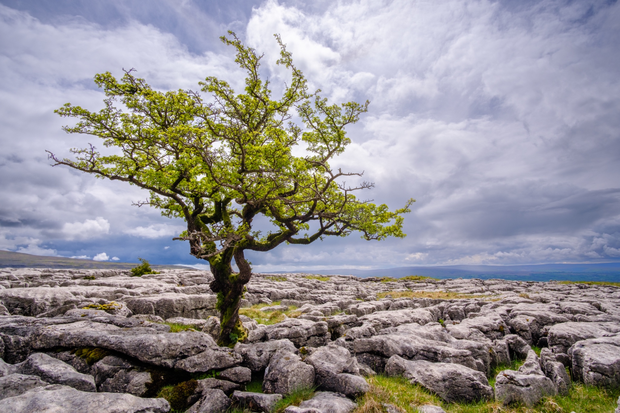 Yorkshire Dales Coast 24
