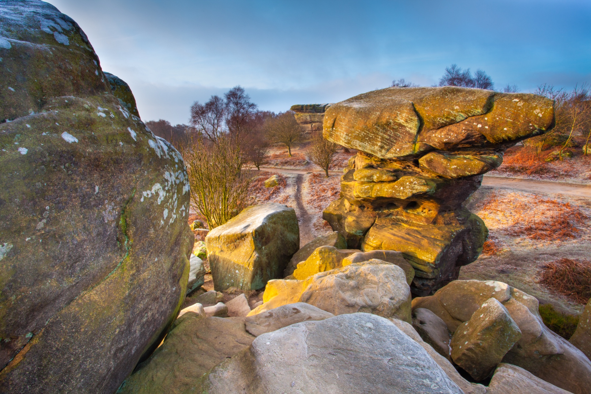 England, North Yorkshire, Brimham Rocks.