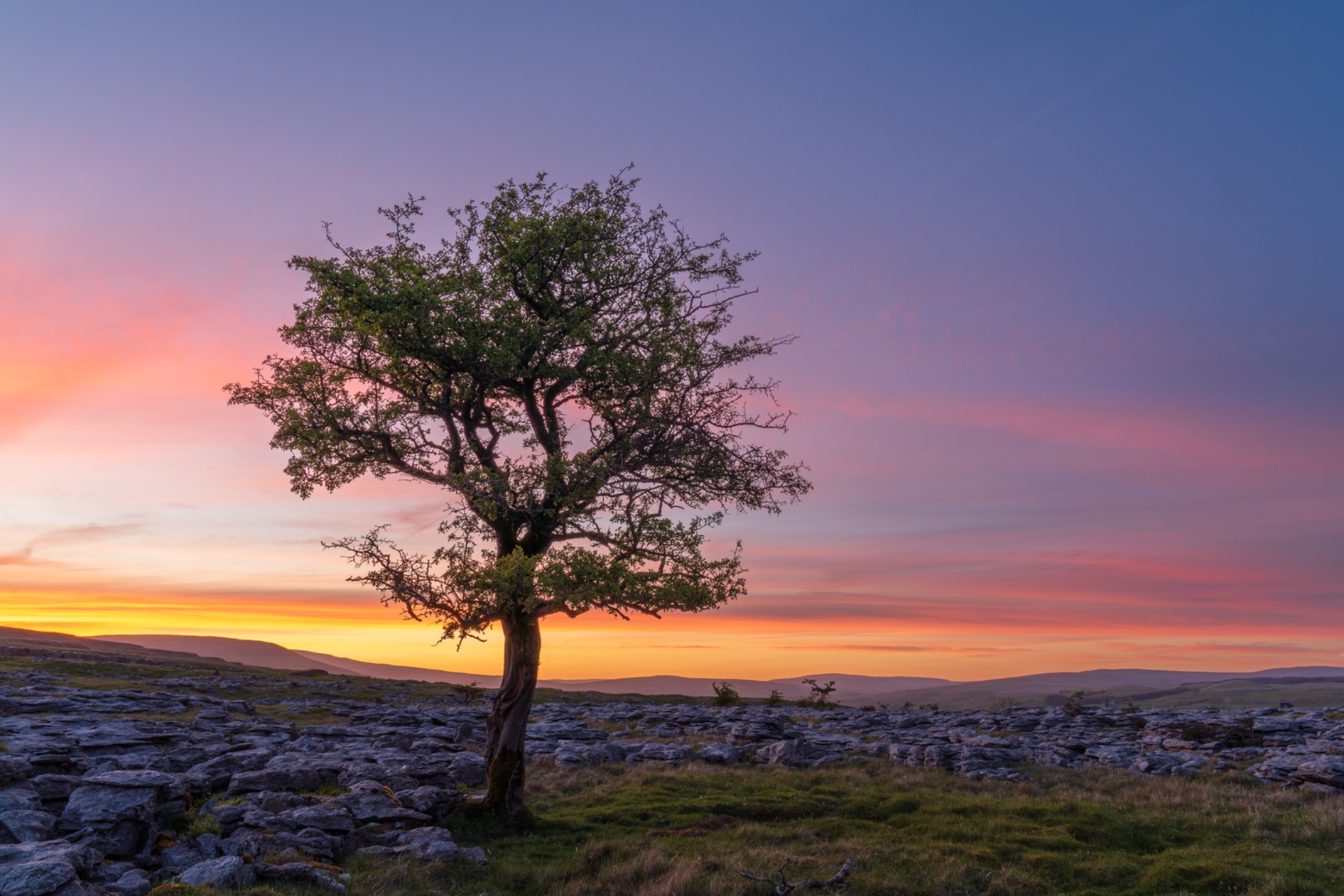 Yorkshire Dales Coast 6