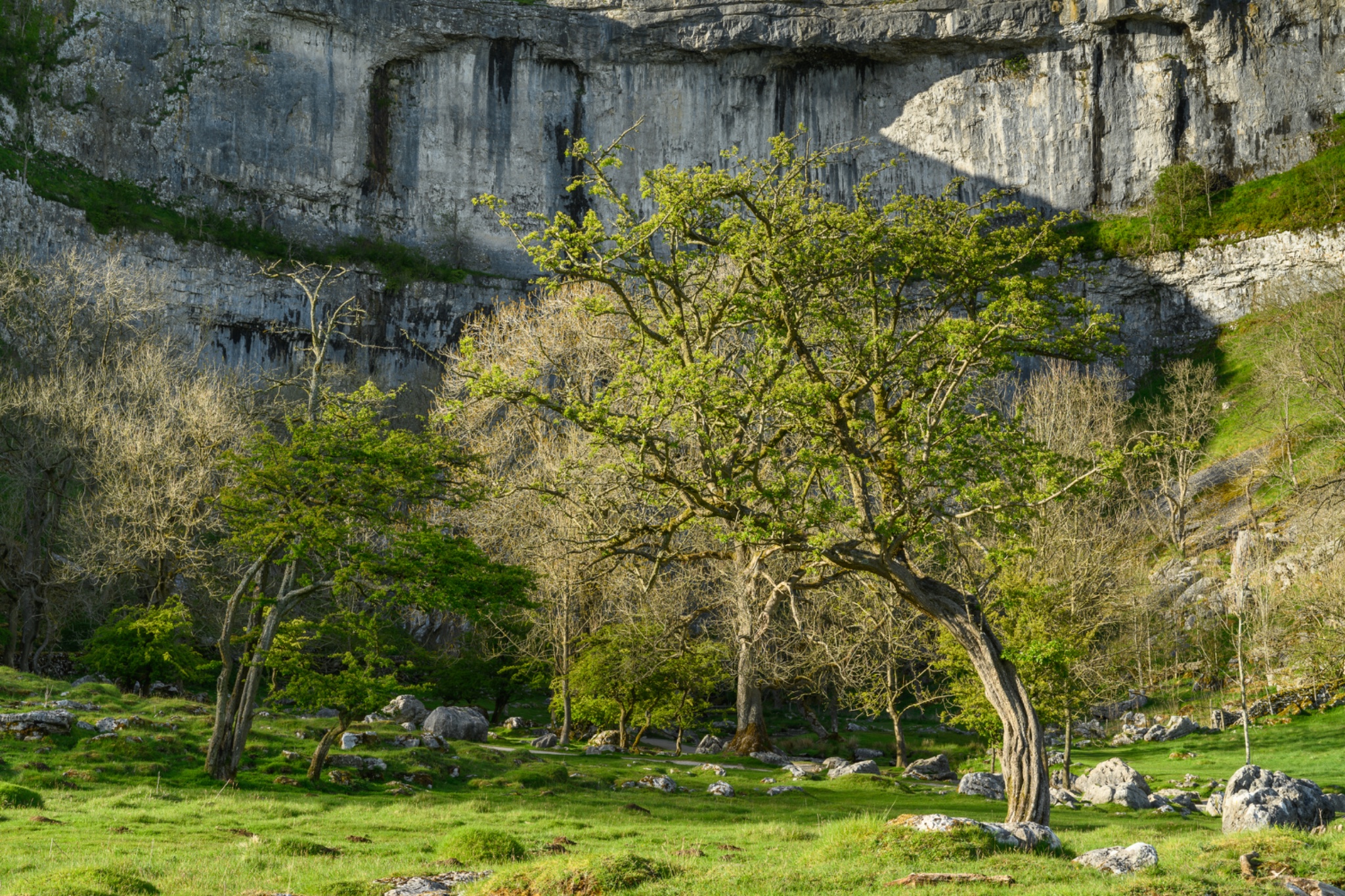 Yorkshire Dales Coast 8